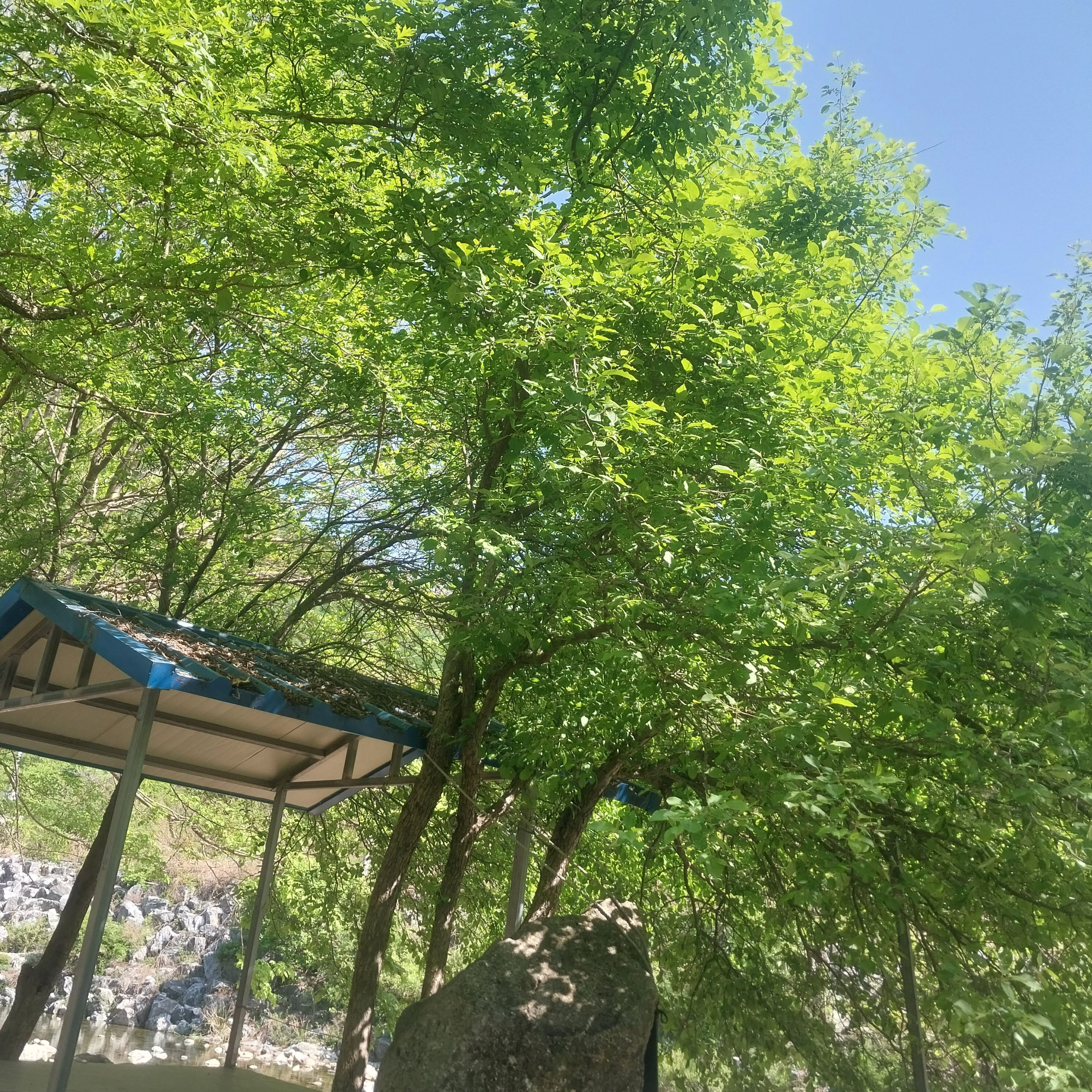 여자 강력반 대표 이미지
