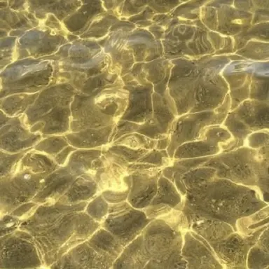 Profile image of 각별