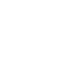 제미니