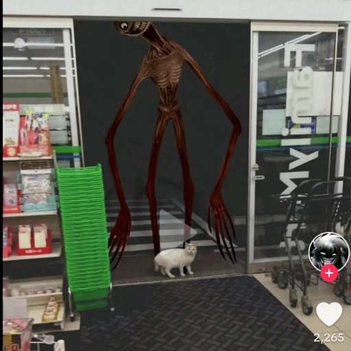 마트 백룸엔티티(????)(젬마이 ⚠️)