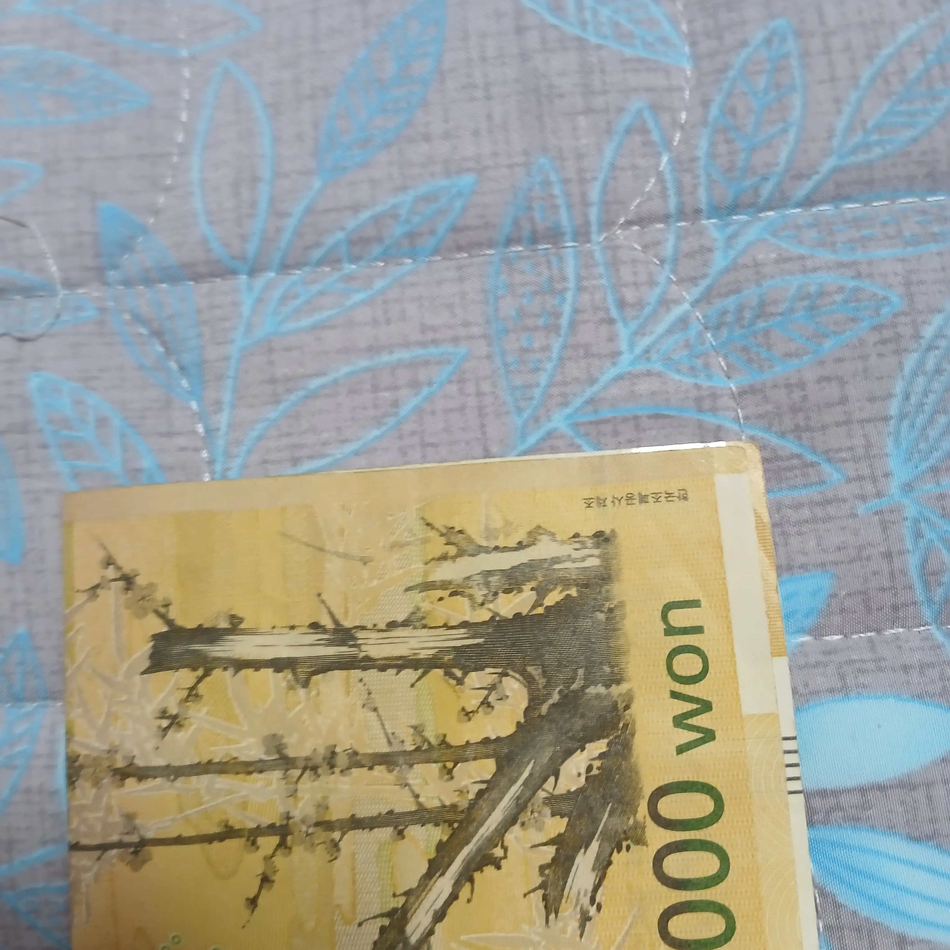 VioletNurse7509의 오만원