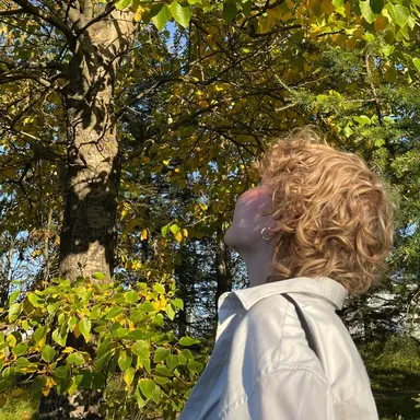 Profile image of Luca
