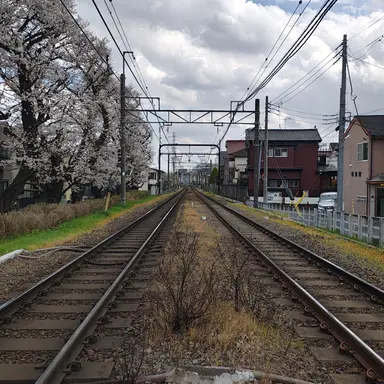 Profile image of イウ