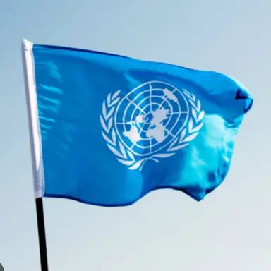 Profile image of 国連