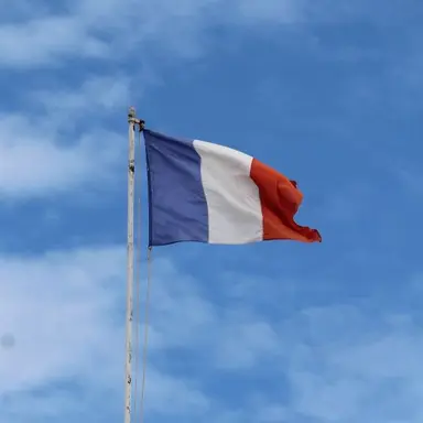 Profile image of フランス