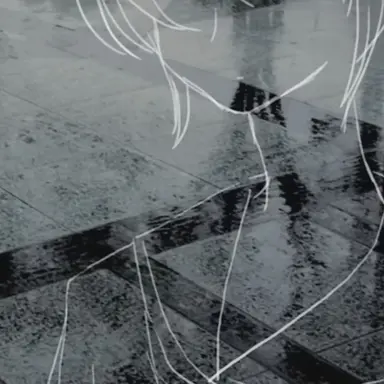 Profile image of 緑