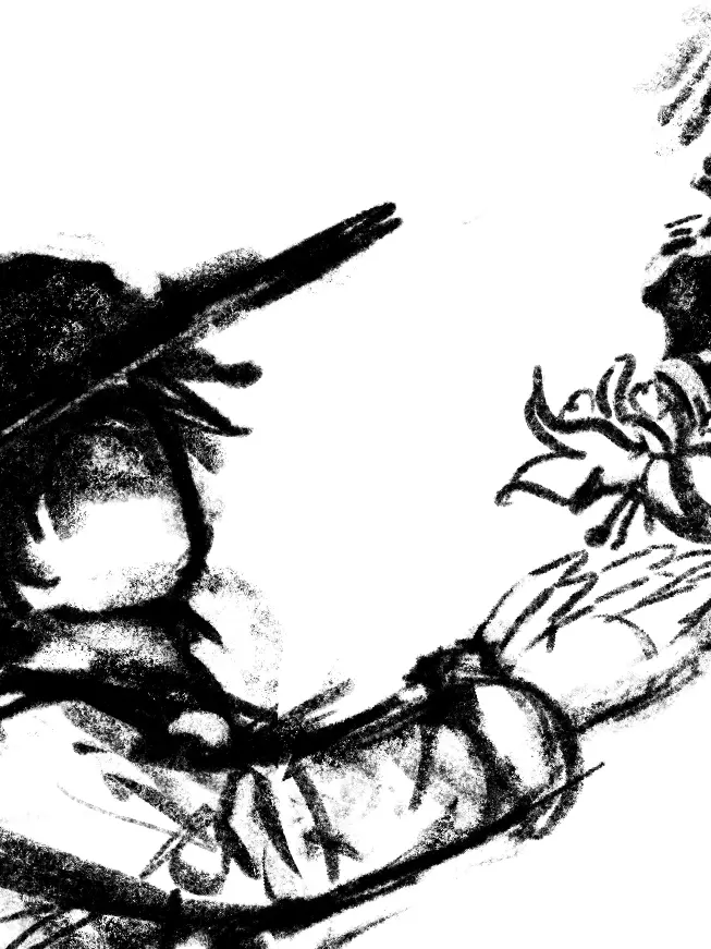 sososo1111의 Jane Doe