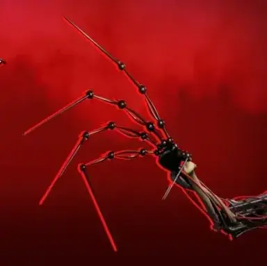 Profile image of Prototype