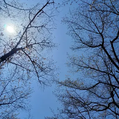 Profile image of 렌고쿠 쿄쥬로