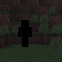 Profile image of null