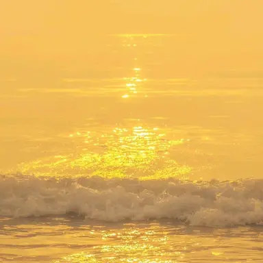 Profile image of 김 일영