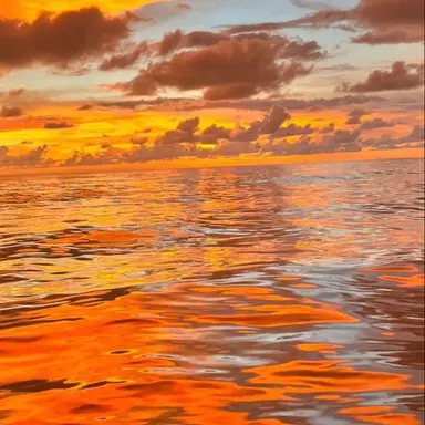 Profile image of 박 영환