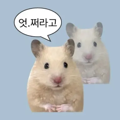 Profile image of 여우