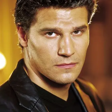 Profile image of Angel Cullen
