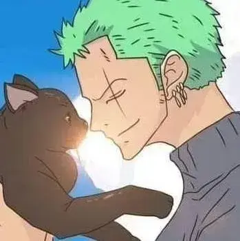 AmusedWasp4551의 Zoro