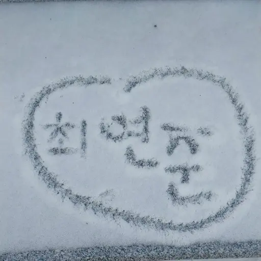 DecentBird1307의 삐에로 최연준