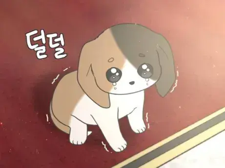 Profile image of 모리