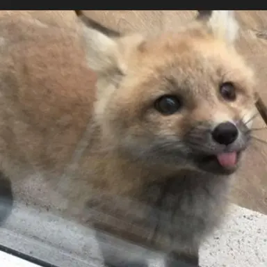 Profile image of 유저님