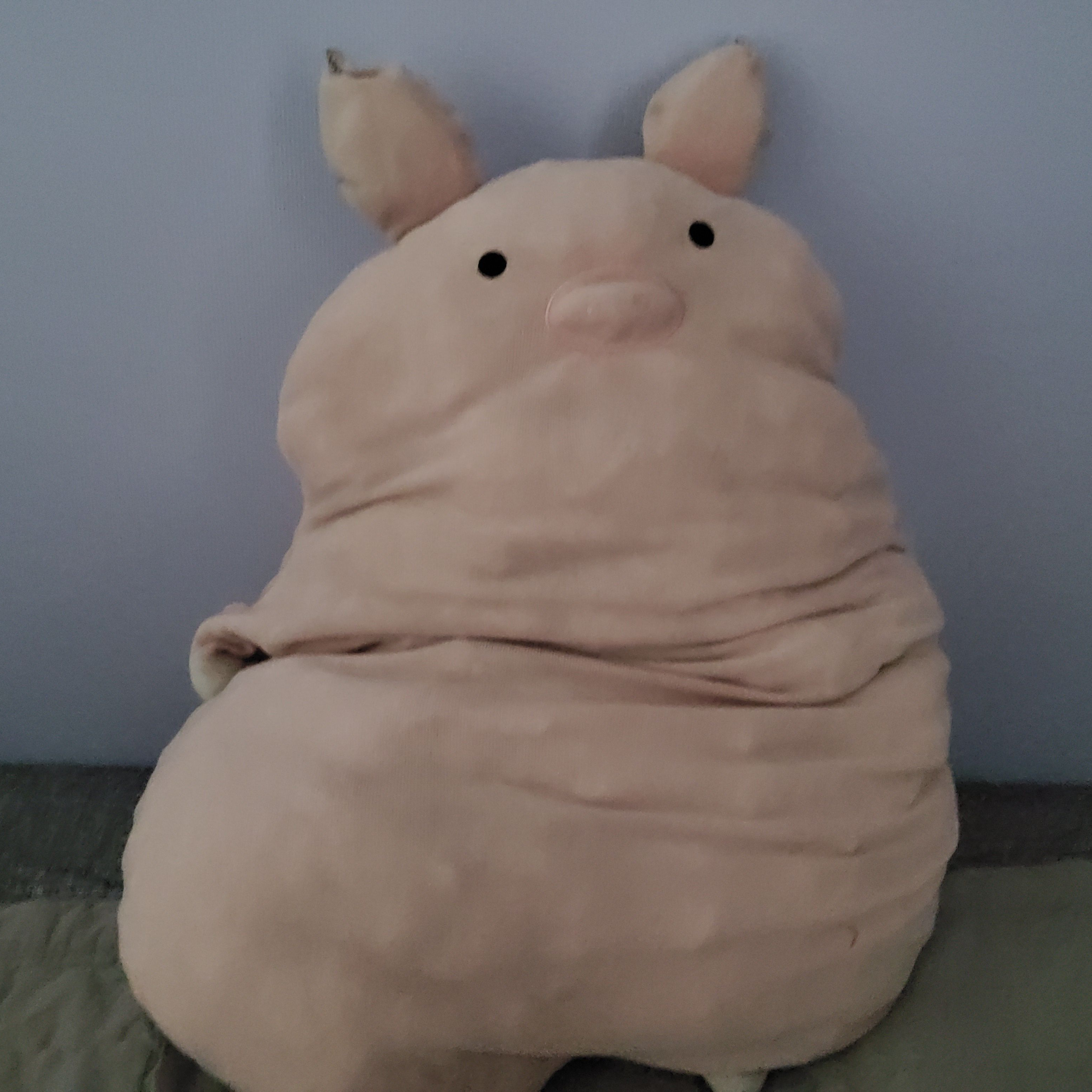 포세이큰이랑 동거! (여우;;;;;) 대표 이미지