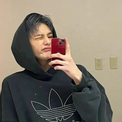 LEE_KNOW_1025의 황현진