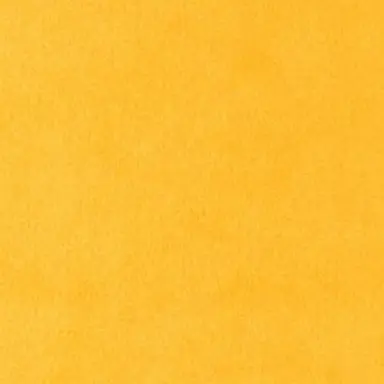 Profile image of 岩本照