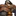 마우가