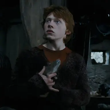 Profile image of Ron Weasley