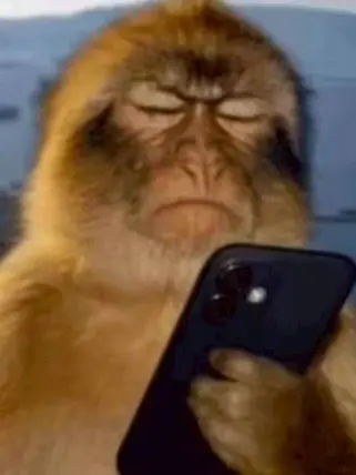 No.22의 お猿さんミーム