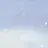메릴라