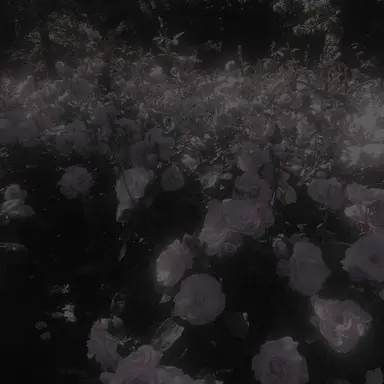 Profile image of 마이연