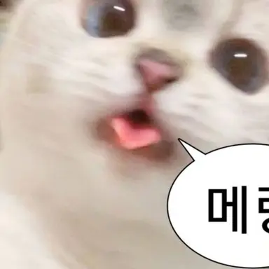 Profile image of 늑대