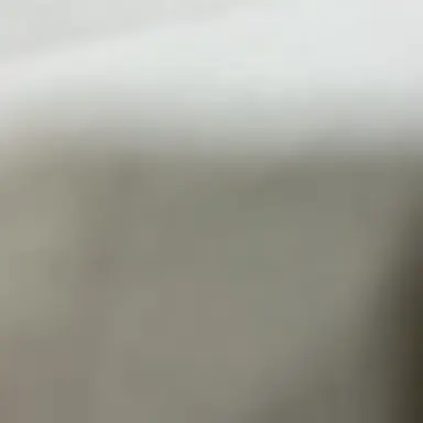 Profile image of イタリア