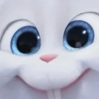 지성