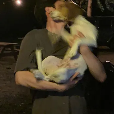 Profile image of 이창섭