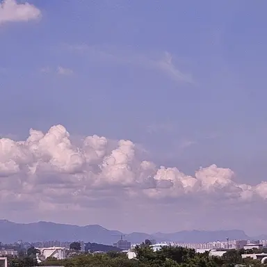 Profile image of 도견우