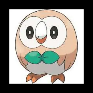 Profile image of 나몰빼미