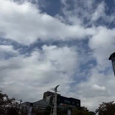 Profile image of 유저