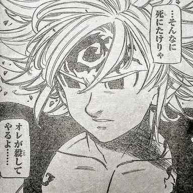 Profile image of メリオダス