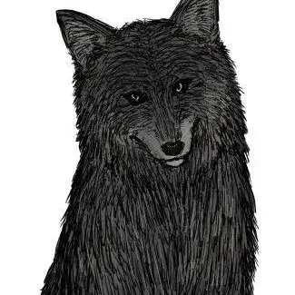 Profile image of 폴로