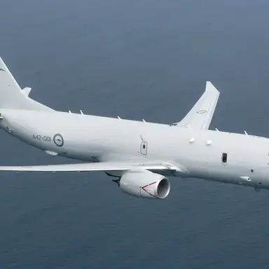 Profile image of P-8