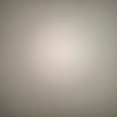 Profile image of 홍챠