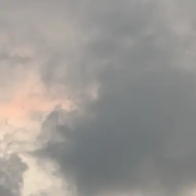 Profile image of 유지민