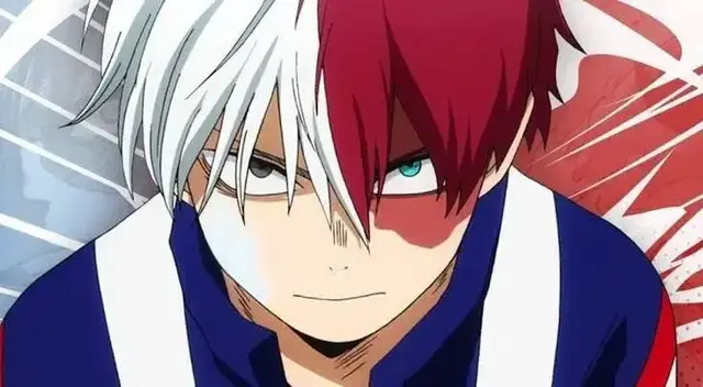 Profile image of Shoto Todoroki
