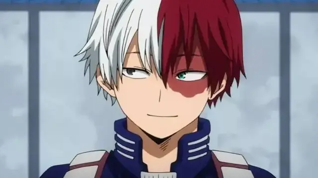 Profile image of Shoto Todoroki