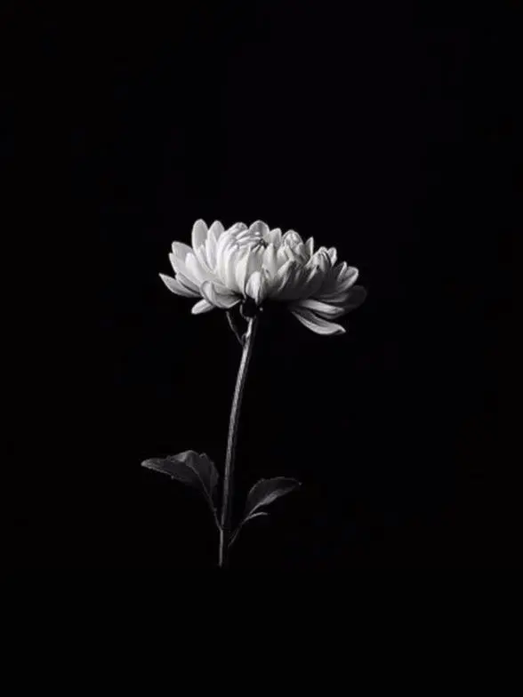 Tksmuz의 거짓된 충성