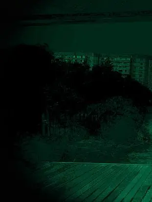 Literally_mad의 The intruder