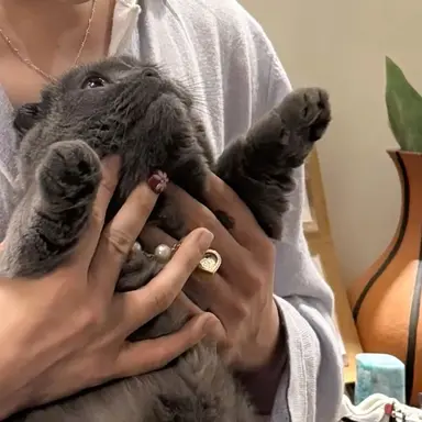 Profile image of 지용