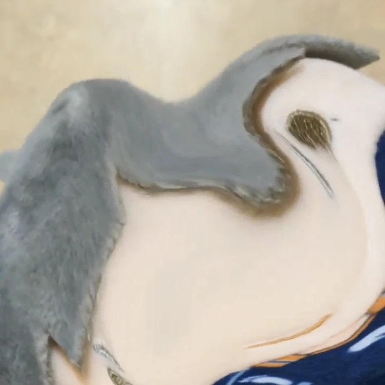 宥