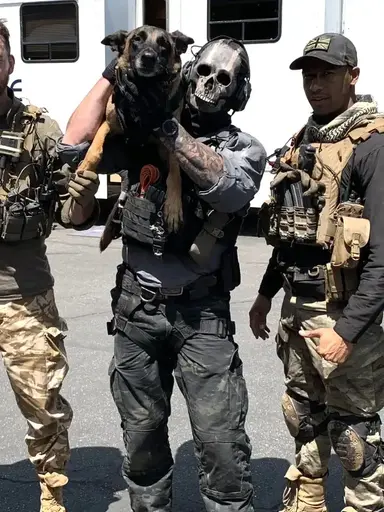 Profile image of TF141 - Concert