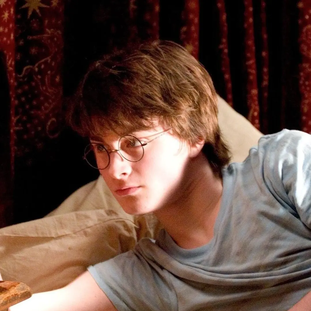 Lalalalooloo의 Harry Potter